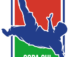 Sorteio define grupos da Copa Sul dos Campeões - Foto 1